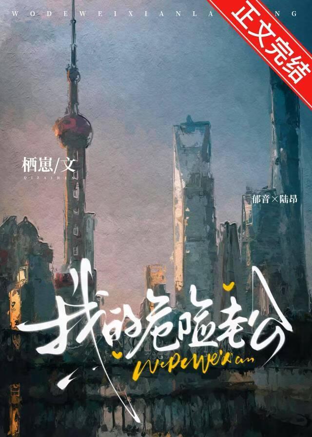 我的危险妻子讲解