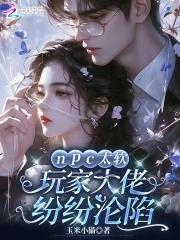 npc又软