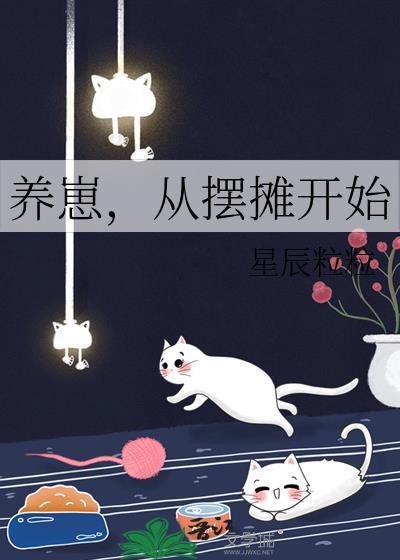 从摆摊开始 星辰粒粒 笔趣阁