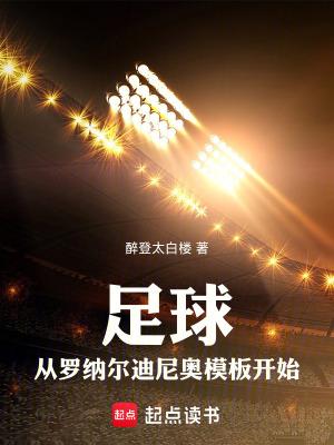 罗纳尔迪尼奥经典进球视频