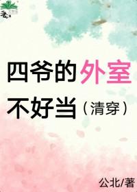 清穿四爷外室子
