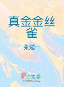 真金金丝雀讲什么
