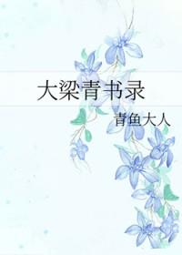 大梁秘史阅读