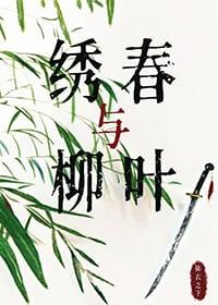 锦衣之下之绣春刀怎么看不懂
