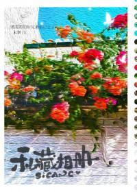 私藏相册by末奈笔趣阁