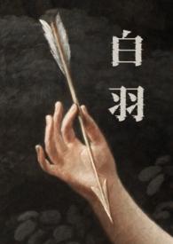 白羽鸡价格行情今日报价