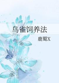 海贼王鸟笼第几集