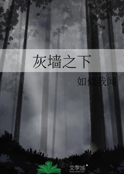 灰墙之下 如似我闻讲的什么