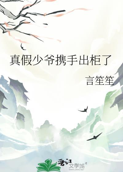 真假少爷全本
