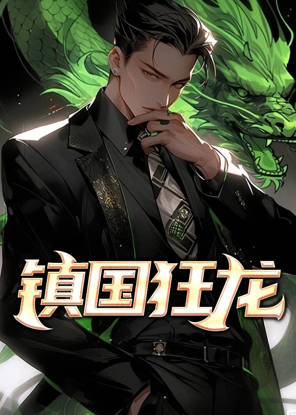 镇国狂龙1-48集全集