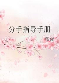 综分手记事