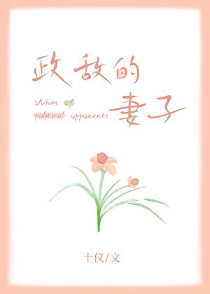 政敌
