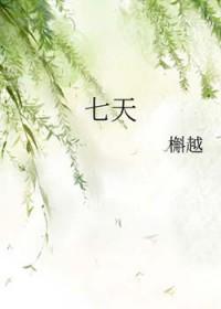 七天七夜 春风遥