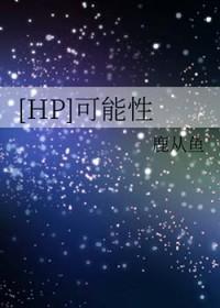 HP可能性全文免费阅读笔趣阁