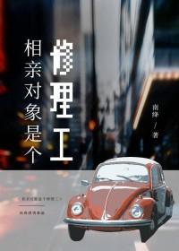 相亲对象是个修理工by南绛