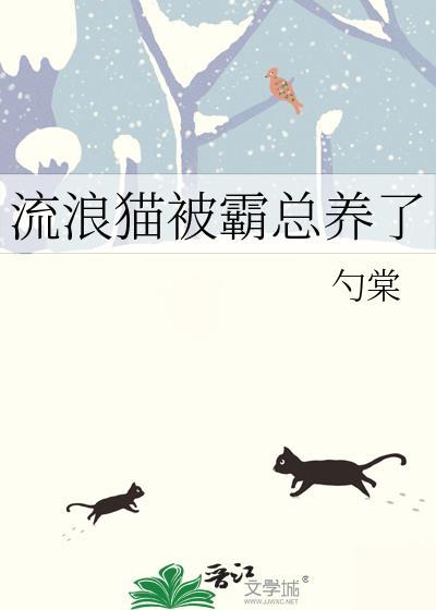 流浪猫欺负家猫怎么办