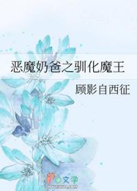 恶魔奶爸训练营视频