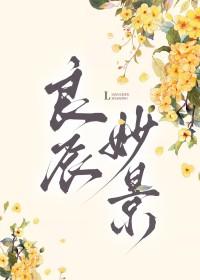 良辰美景的意思是什么解释