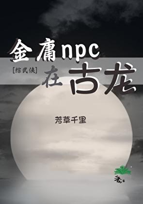 金庸武侠综武