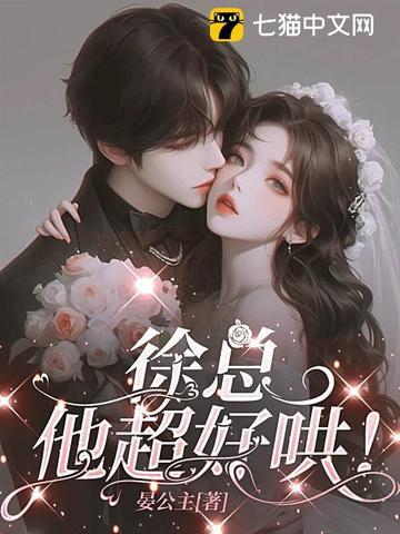 徐总他超好哄剧情