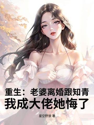重生之老婆要离婚