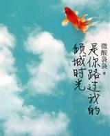 是你路过我的倾城时光简介