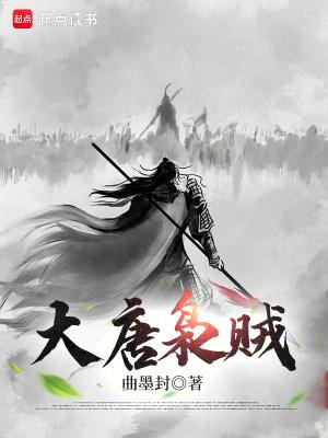 大唐枭贼TXT全本