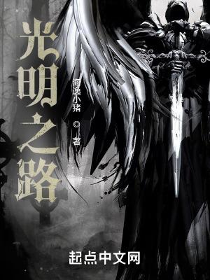 光明之路国网