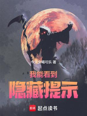 我能看到隐藏机