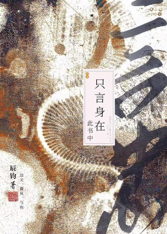 只缘身在此山中