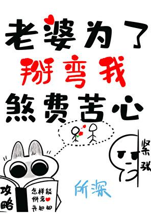 老婆为了掰弯我煞费苦心+讲的是什么