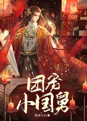 团宠小国舅完整版