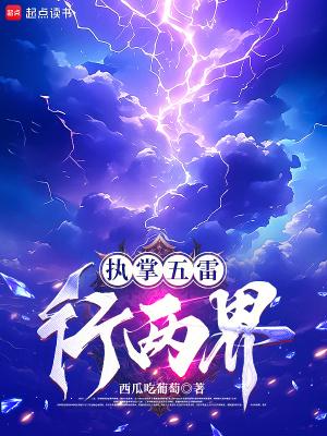 执掌五雷行两界txt