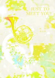 只为与你相遇歌词