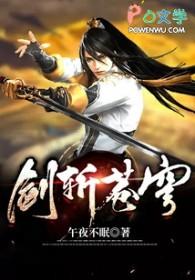 剑斩苍穹1至100集